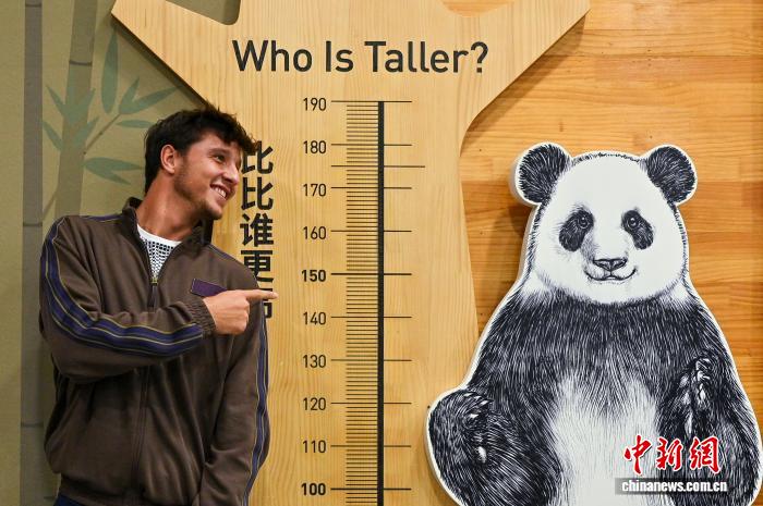 成都网球公开赛球员体验川菜与大熊猫，感受城